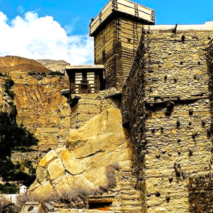 Siyod Toshiẽt Borzẽngi