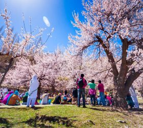 S̃heg̃hdsol “Nowroz”