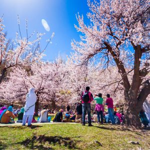 S̃heg̃hdsol “Nowroz”