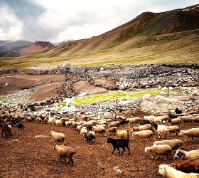 Dhayẽs̃h Disht Yo Jonẽsh Dis̃ht ( Wakhi Story)