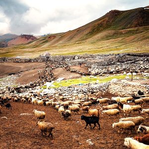 Dhayẽs̃h Disht Yo Jonẽsh Dis̃ht ( Wakhi Story)