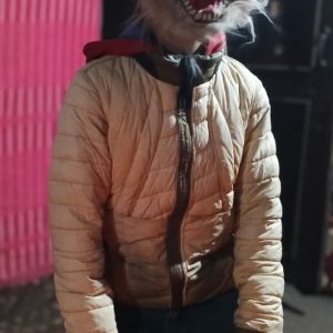 Vechẽhosh/ Hoshigarm